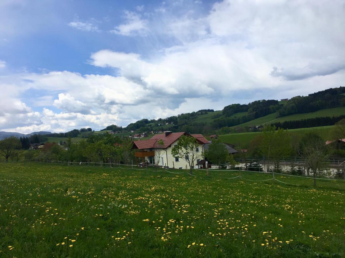 Luxusappartement Zell am Moos Exterior foto
